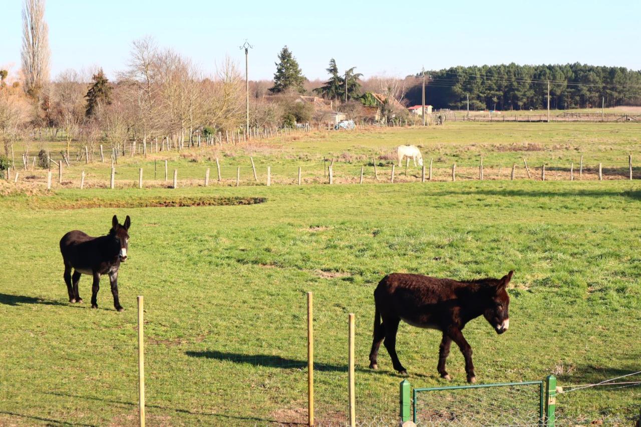 Bed and Breakfast Chambre En Campagne A 15 Min Circuit ! Changé Exterior foto